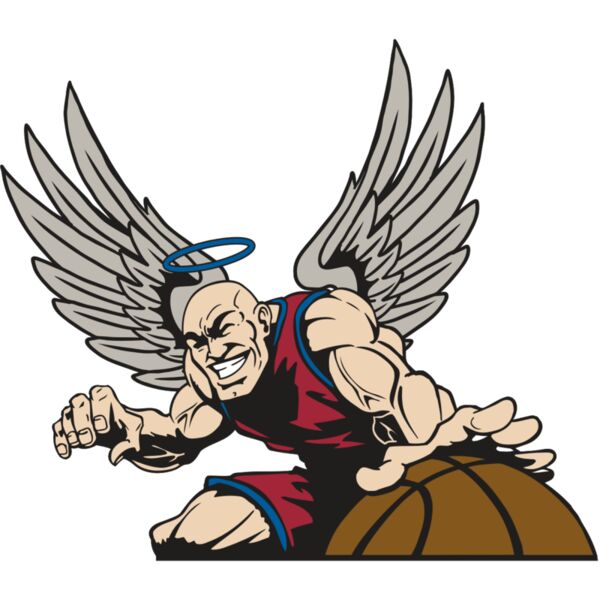 AR17 ANGEL BSKT 04 RQC Thumbnail