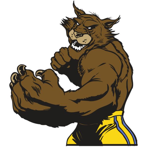 AR WILDCAT 48 RC Thumbnail